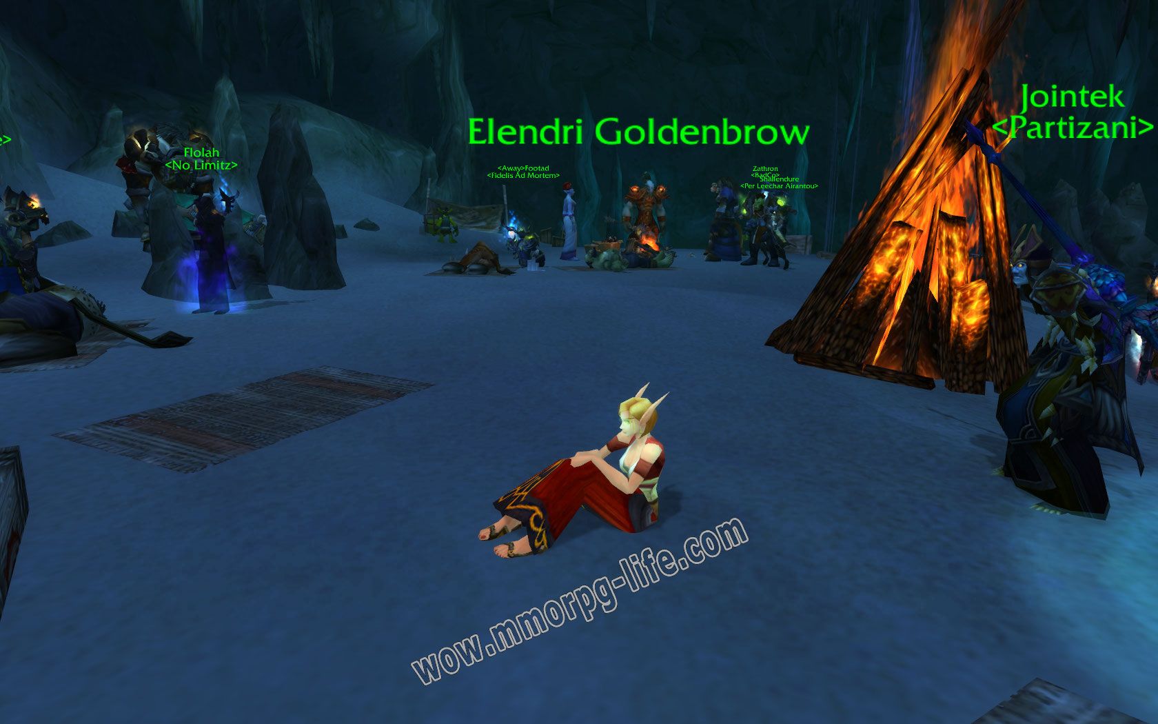 NPC: Elendri Goldenbrow image 1 middle size